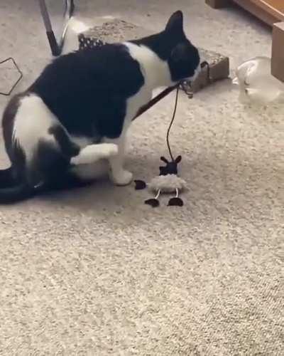 If I just.. eh.. maybe if I turn around...