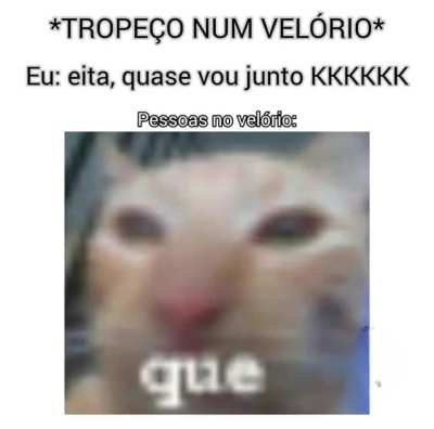 Fracassidio é o irmão mais novo do sub?