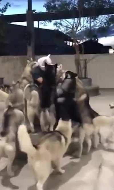 Our leader. He is us. We are him.