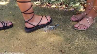 Girls crush crabs