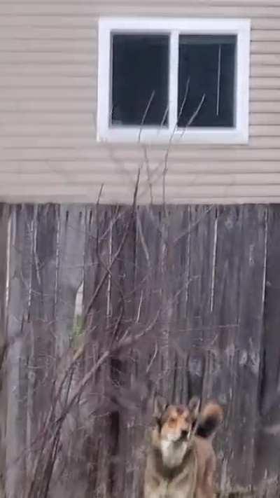 He caught me taking video of him