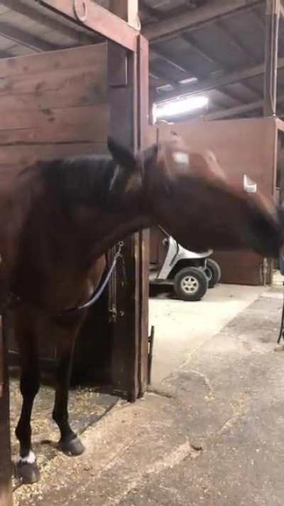 Nods and other head movements, is there anything wrong?