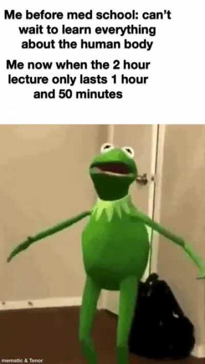 the most joyful i felt this week