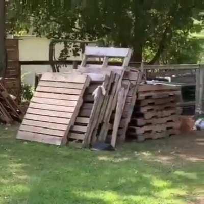 Round and round we go