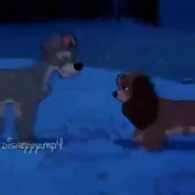 esse vídeo é muito emocionante