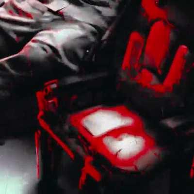 A system of cells interlinked within cells interlinked within one stem. / a sequel to Nobokov's Pale Fire, Blade Runner 2049