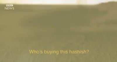 Just a regular day in Ancapistan