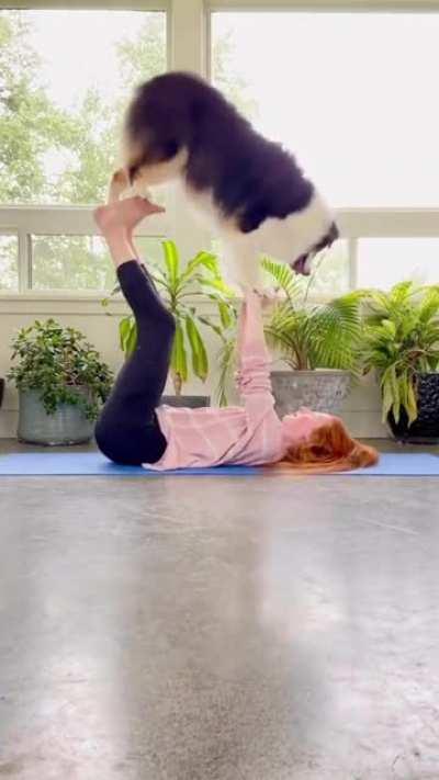 Good boy doing yoga with his best friend
