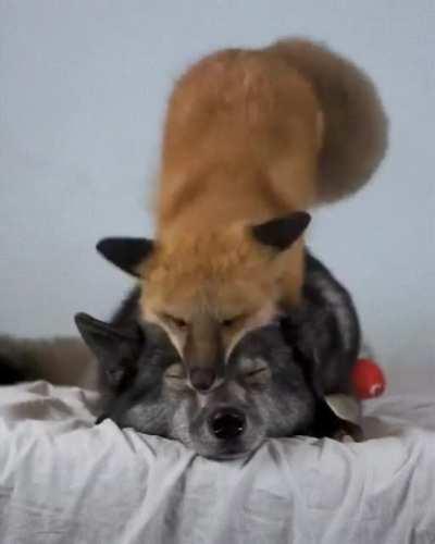 friendship has no boundaries