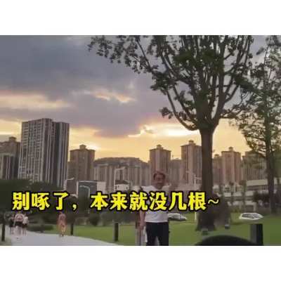 Remix de animales parte 2