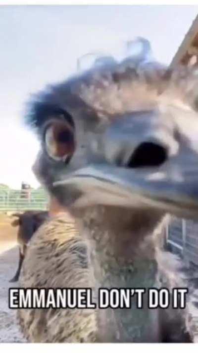 EMMANUEL!!!!!!!!!!....