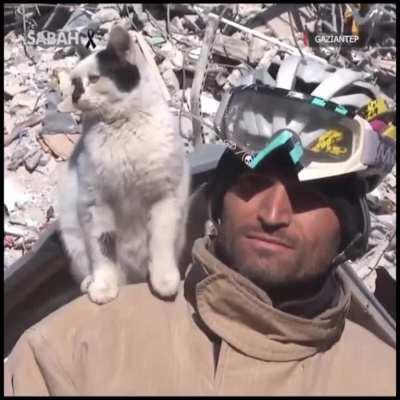 Cat Saved By Fire Crew In Gaziantep Turkey After Earthquake Won't Leave Their Side