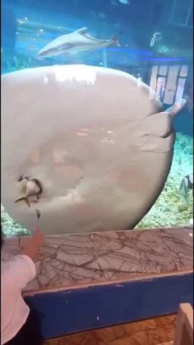 Thanks, I hate fish mouth