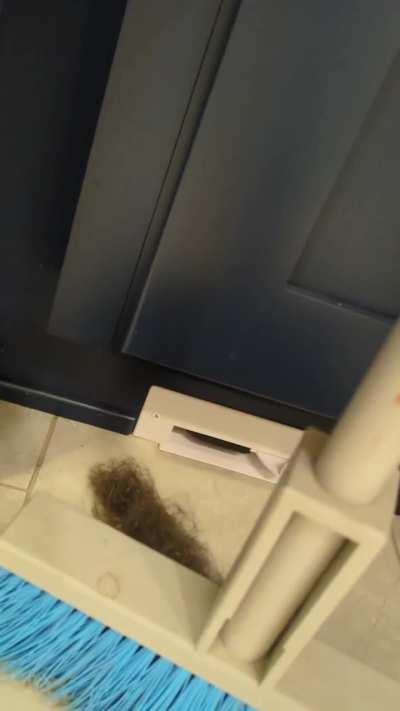 In-home central vacuums are satisfying when your dog is shedding