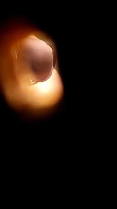 kbfgbnj - Video #7391