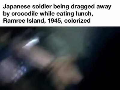 “Most soldiers killed by crocodiles in battle.”