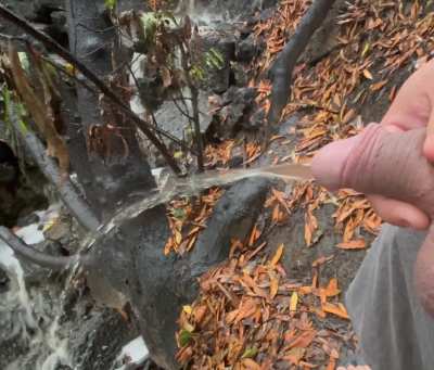 (28) Giving My Contribution to the Stream