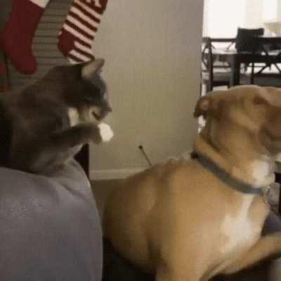 Hey you awake? Yeah why? Violence.