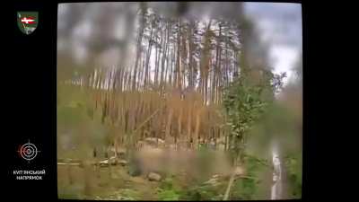 Drones from the 14th mechanized brigade Eliminating Russian targets in the Kupyansk forest