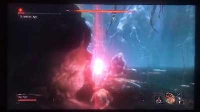 Anti air shinobi seeking shit missile. This ape is flexin on me