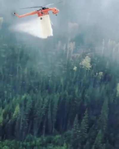 Surgical precision...