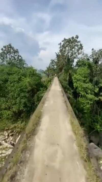 Do you dare to cross this bridge?