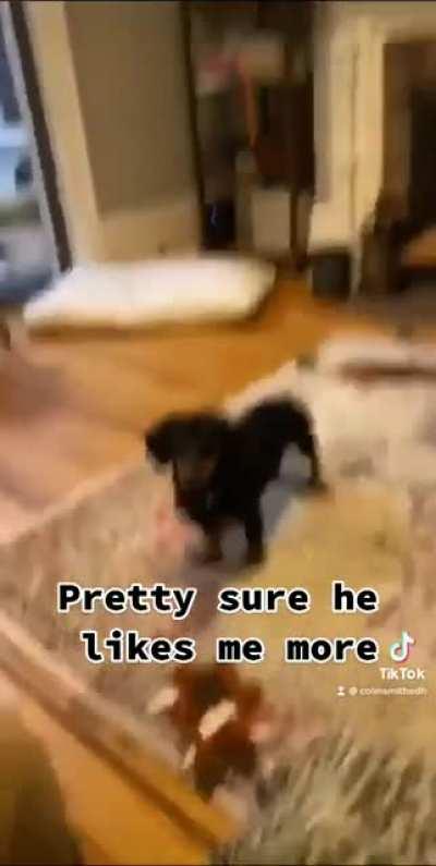 I think Winston has picked a favourite between us.