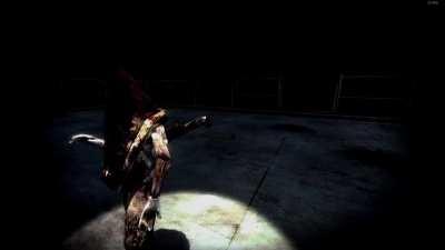 (SH2) what really happened on the roof