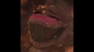 I'm sorry I'm sorry I'm sorry I'm sorry I'm sorry I'm sorry I'm sorry