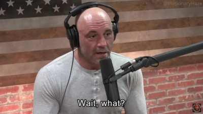 Rogan, Shapiro and Peterson talk about Racism