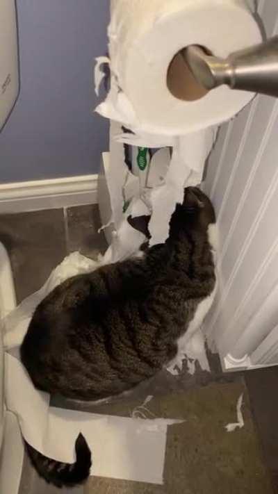 Larry is at it again with the toilet paper