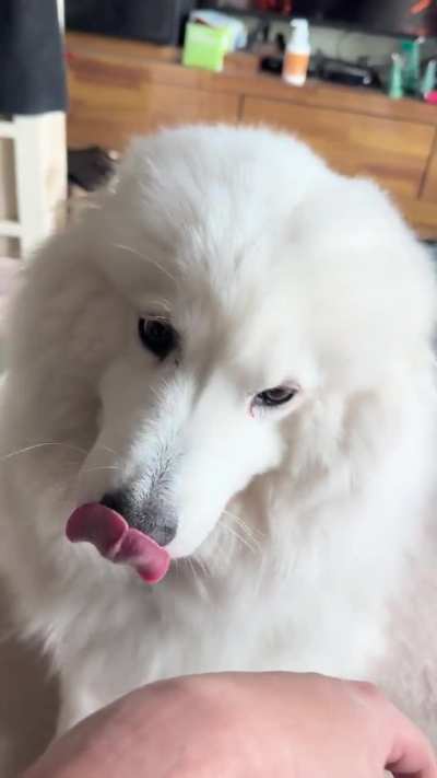 Ah, right that’s my bad for not giving you 100% of my attention for my entire existence.