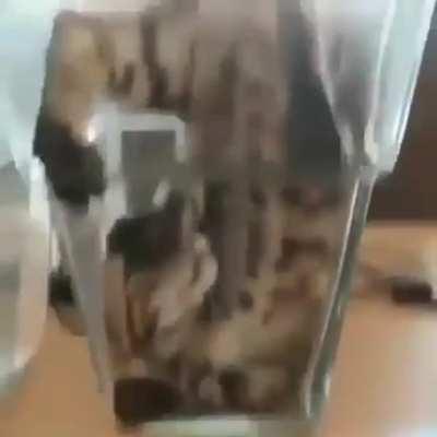 Why do cats love squeezing themselves in, everywhere? ^_^