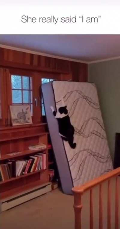 Managing to get yourself stuck on a mattress like that