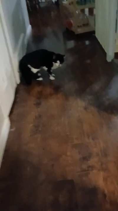 Caught her off guard,lol.