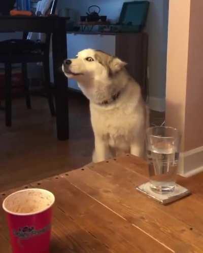 MoonMoon wants some ice cream