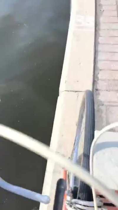 WCGW riding a bike next to a river