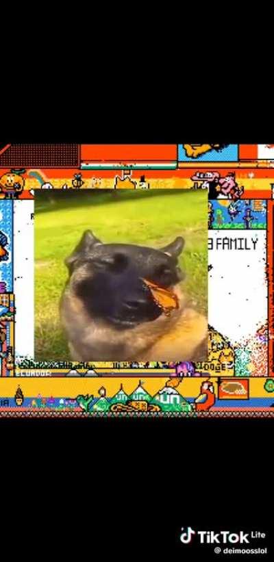 They dont have enemies