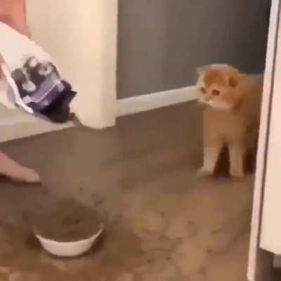 Bungie adding Adds in the Templar encounter