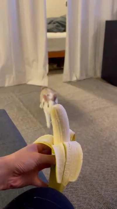 Faster than the speed of light