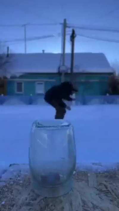 Firecracker goes boom