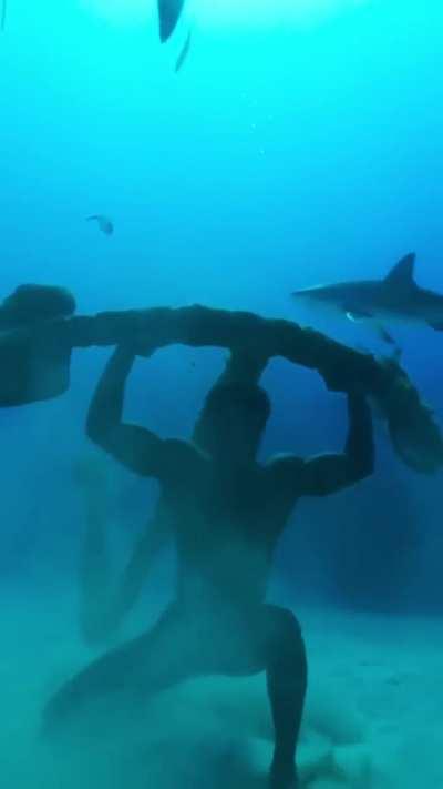 It's real life Aquaman!