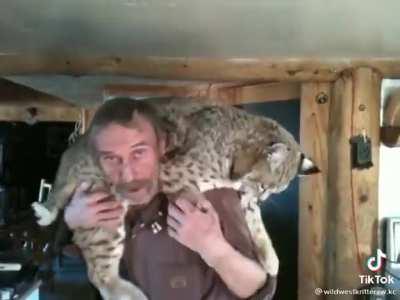 Вот это я понимаю, КИСА!