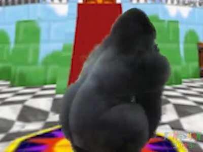 Dam that Gorilla do be getting around