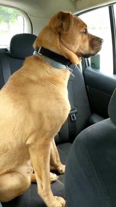 When I take stevia instead of inthecouch