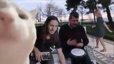 How's your mood today?