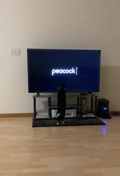 Every. Single. Time.