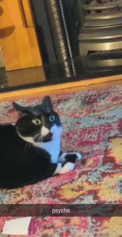 They're after me, Jerry. The GREEBLES. The GREEBLES are after me. Jerry ... JERRY!