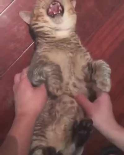 Too many inputs at one time, it's crashing!