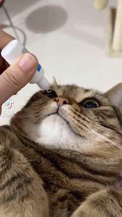Taking the medicine like a pro
